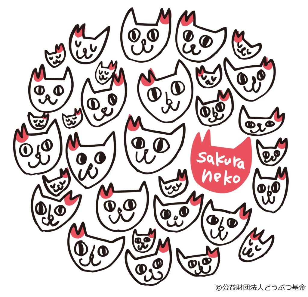 公益財団法人どうぶつ基金「さくらねこ」の活動を知る