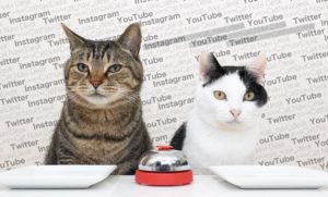 べるるとぶるる